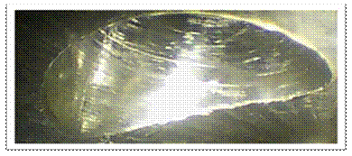 去毛刺|倒角|浮動鉸刀柄|滾壓刀